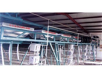 蛋、種雞自動給料機(jī)